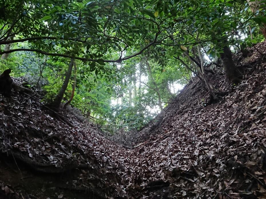 菩提山城