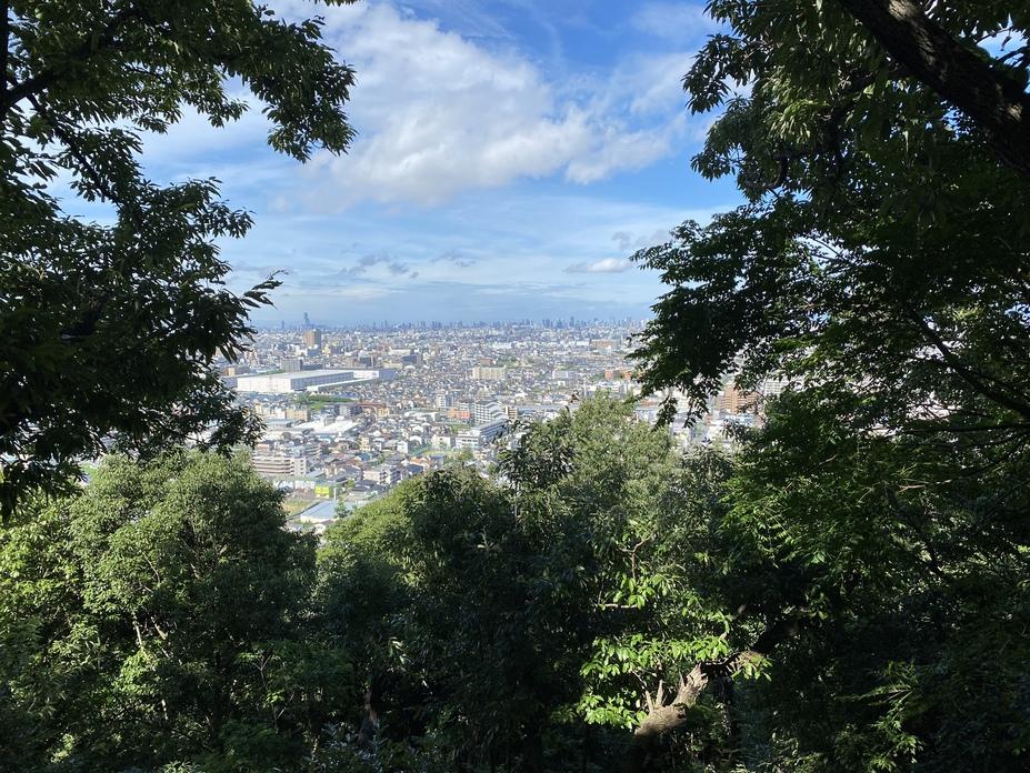 野崎城