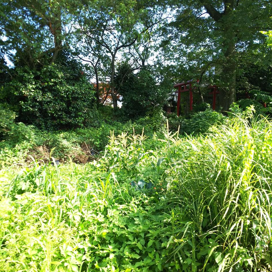 横山城