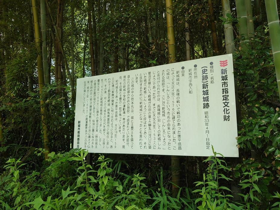 新城城