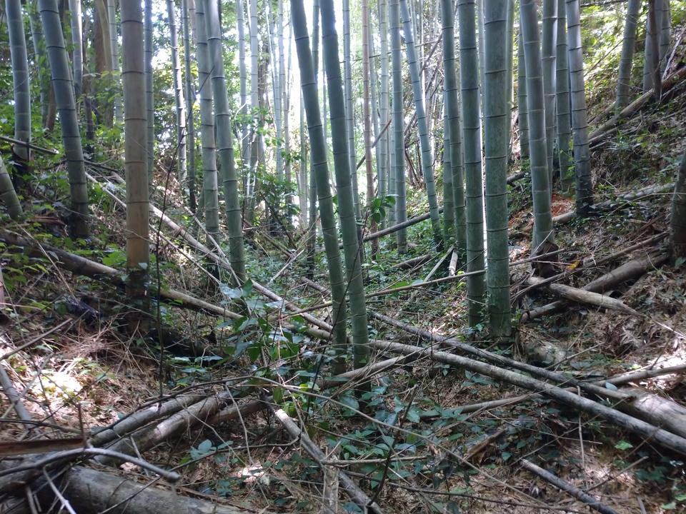 籠手田城
