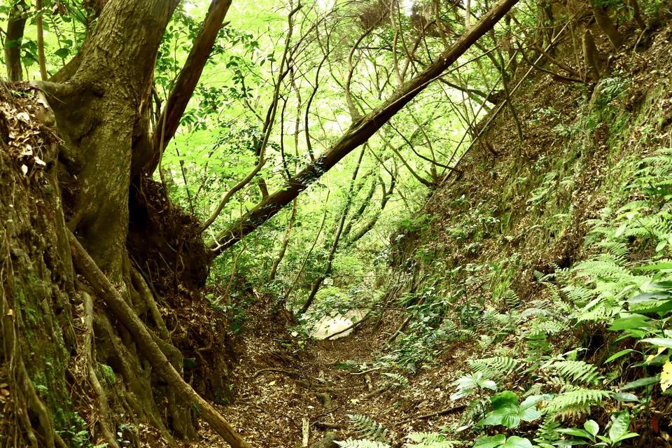 小山田城