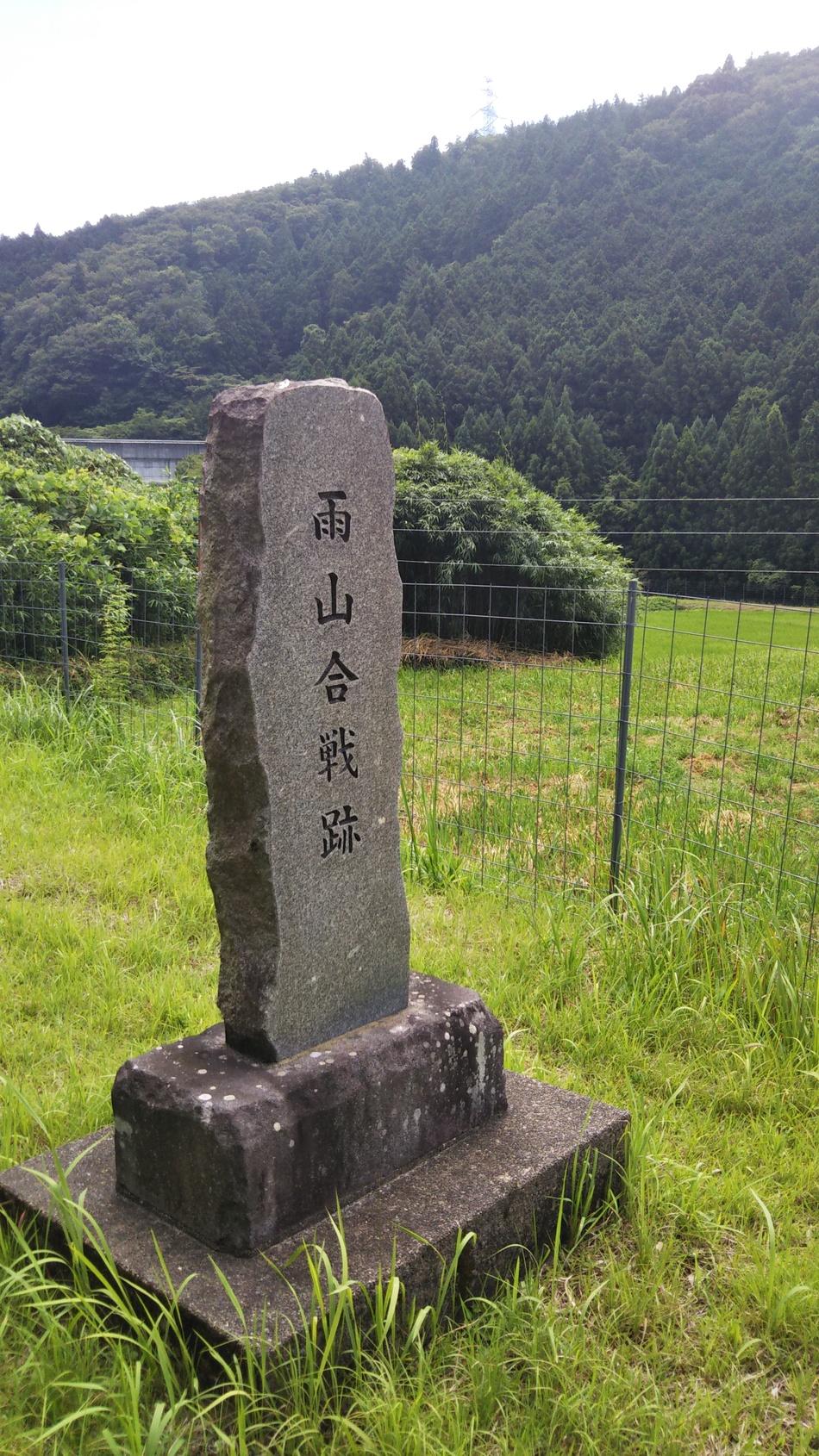 雨山城