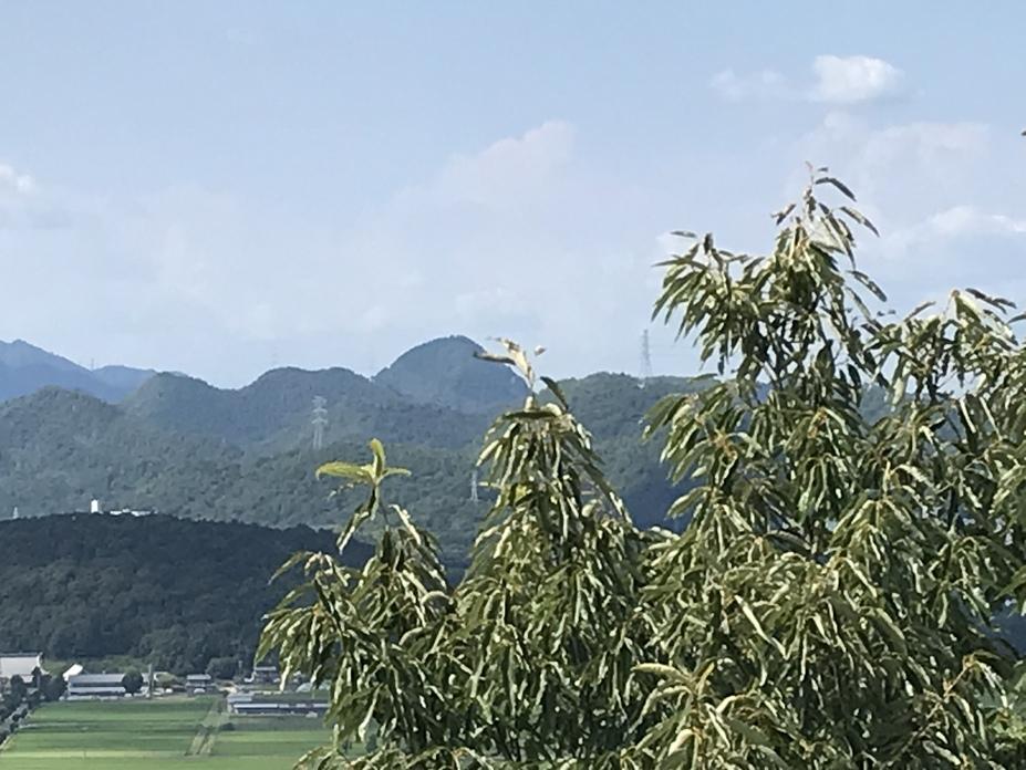 関城