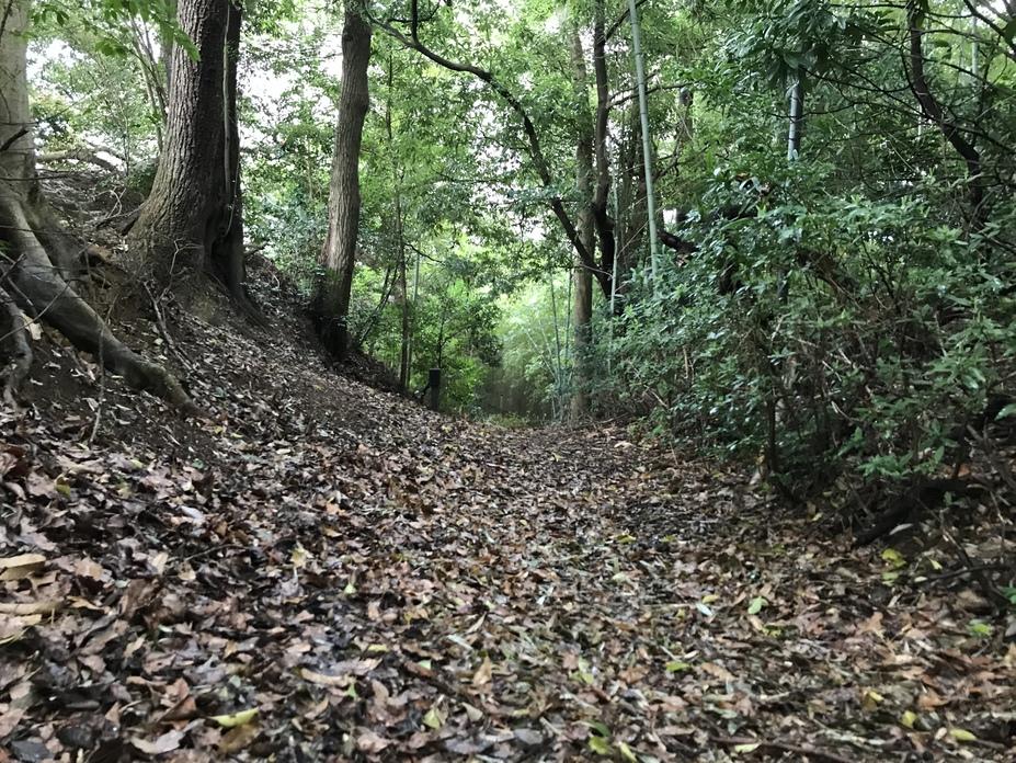 上津部田城