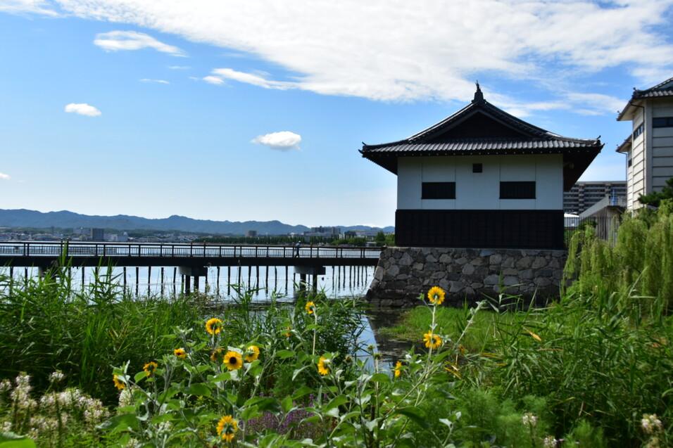膳所城