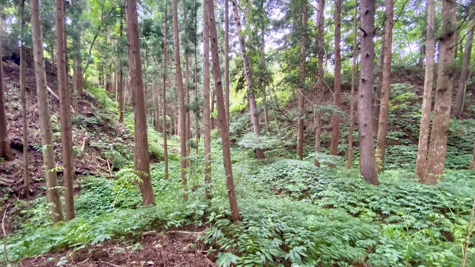 日戸館