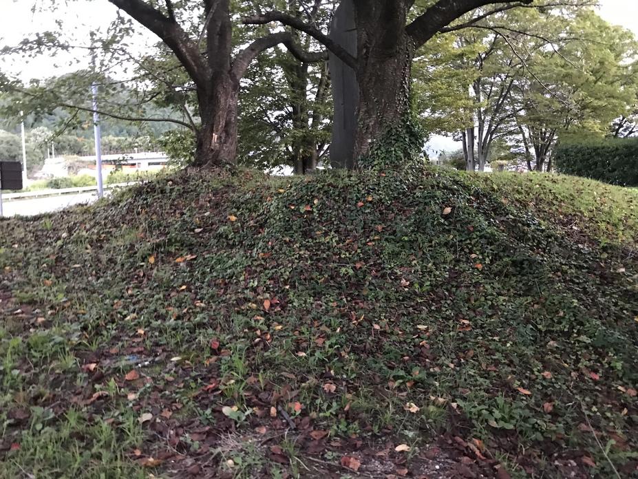 敏満寺城