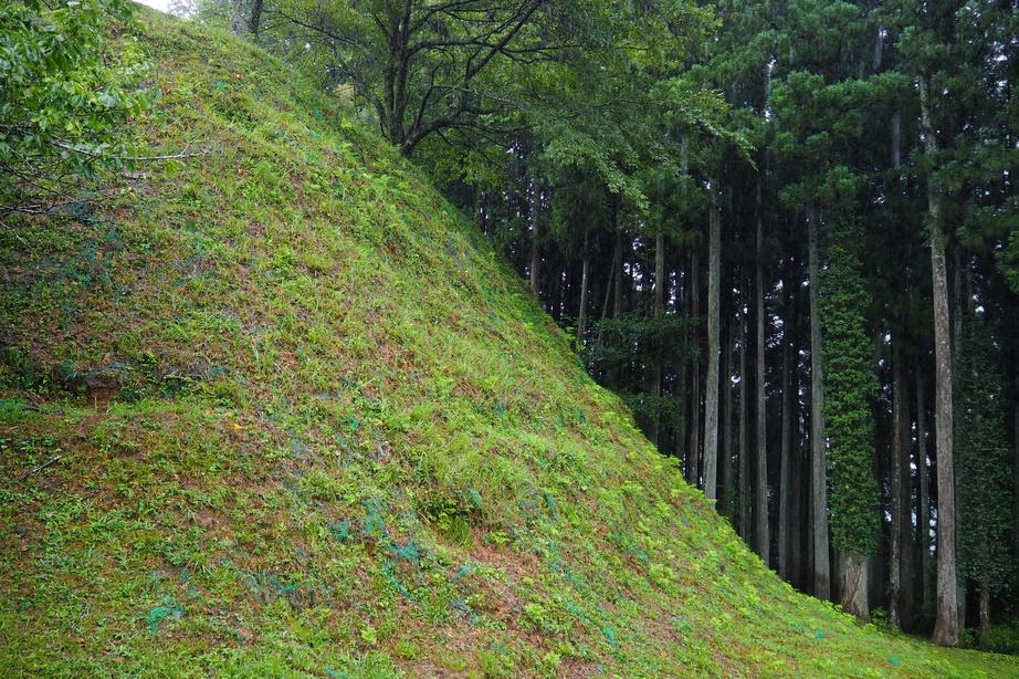 田峰城