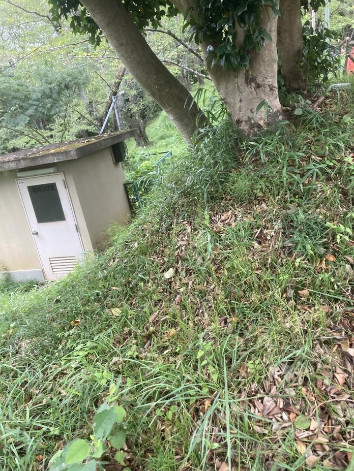 船岡城