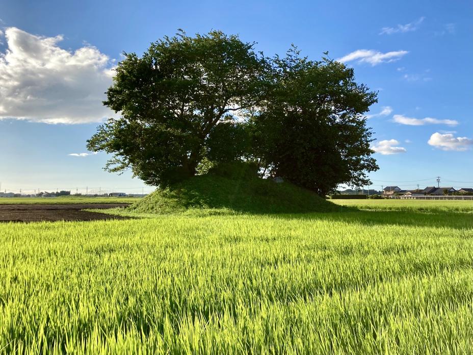 木造城