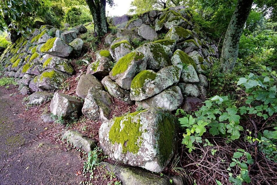 大溝城
