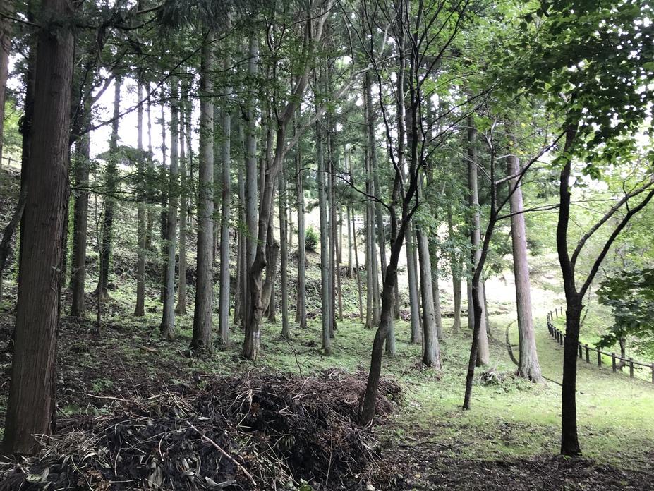 千石城