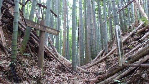 玉造要害山城