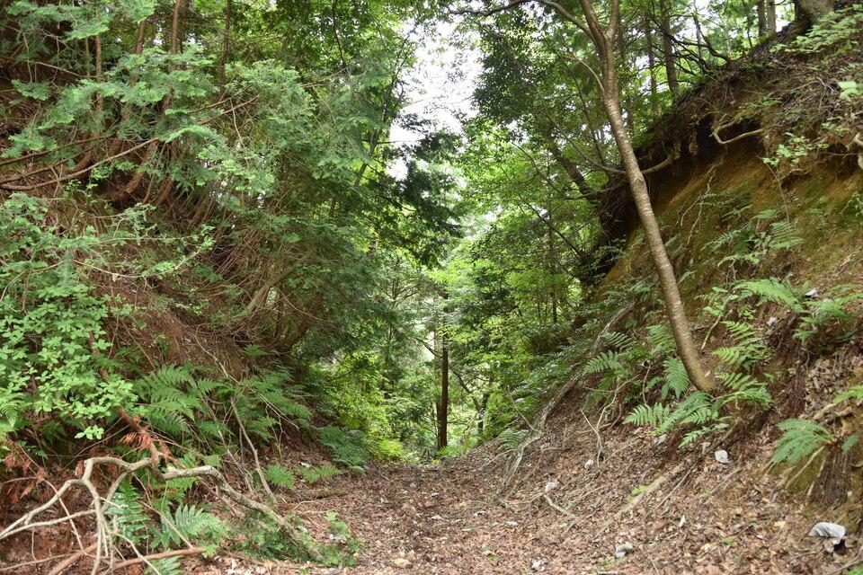 清水山城
