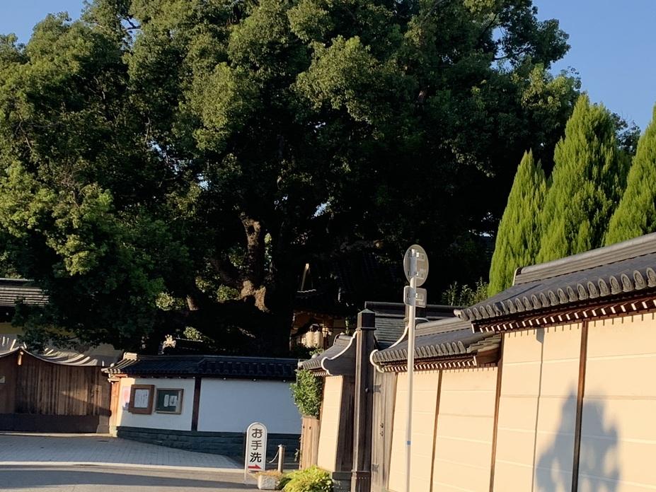 我孫子城