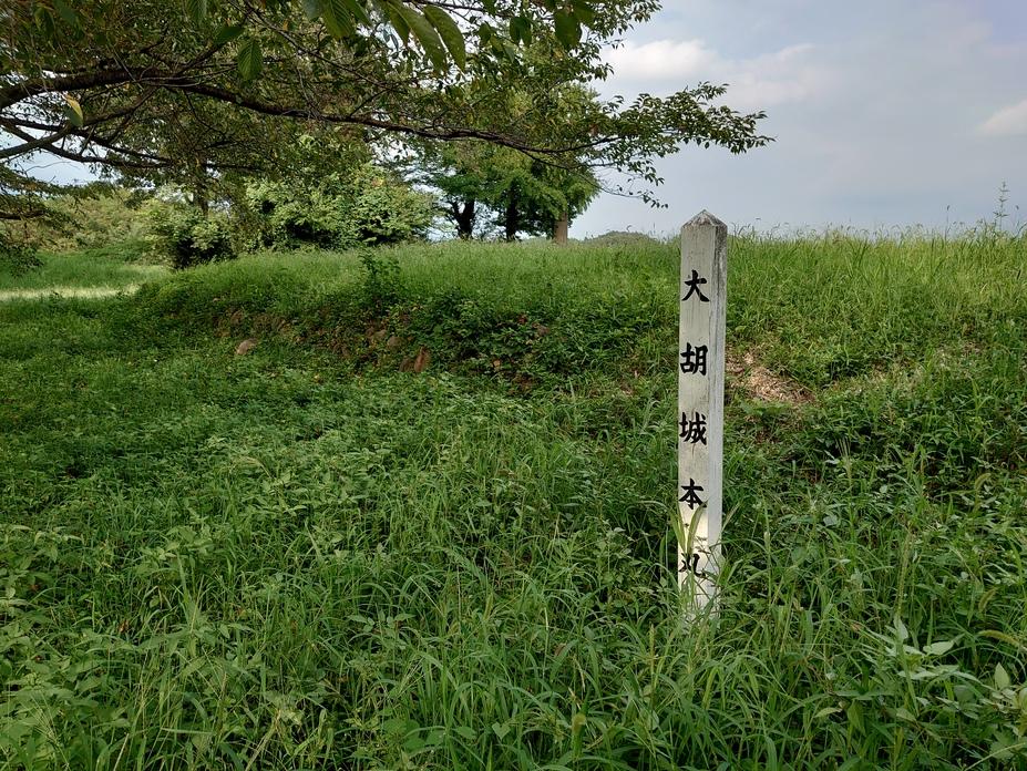 大胡城