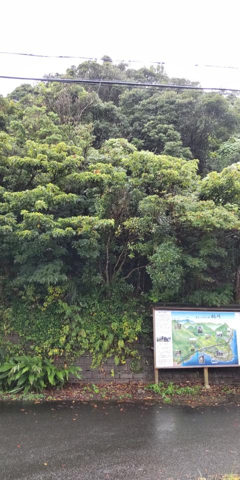 楠川城