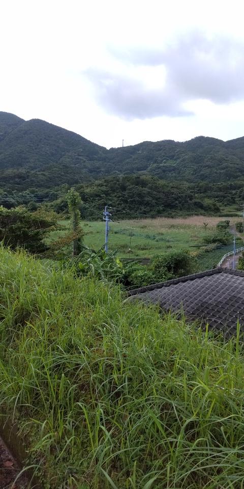 亀城