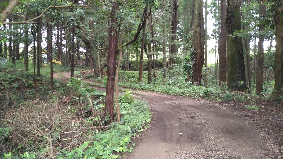 森山城