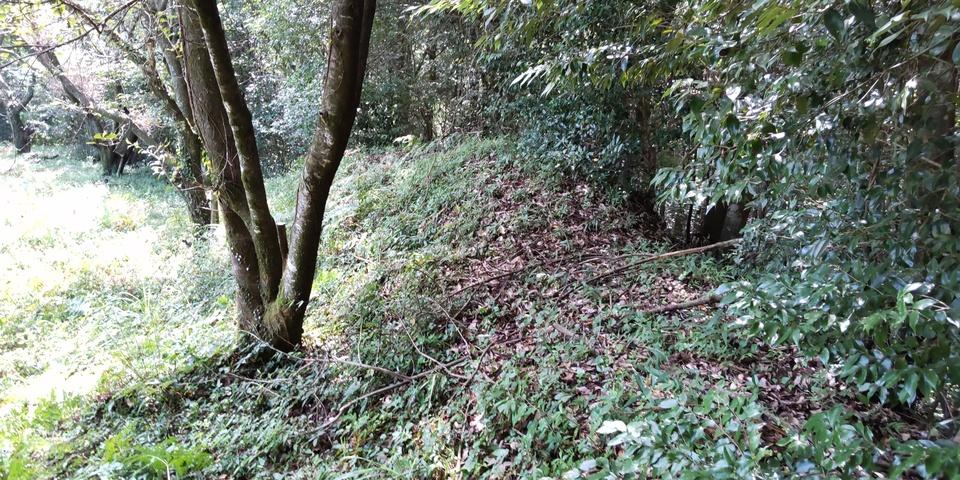 横川城