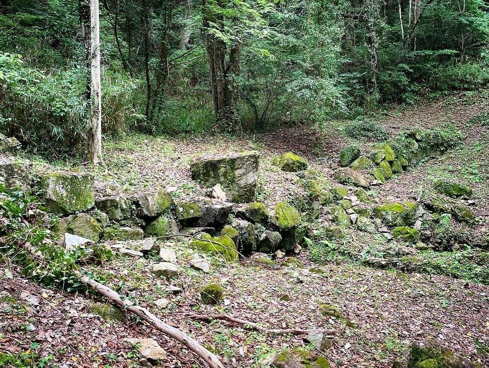 大廻小廻山城