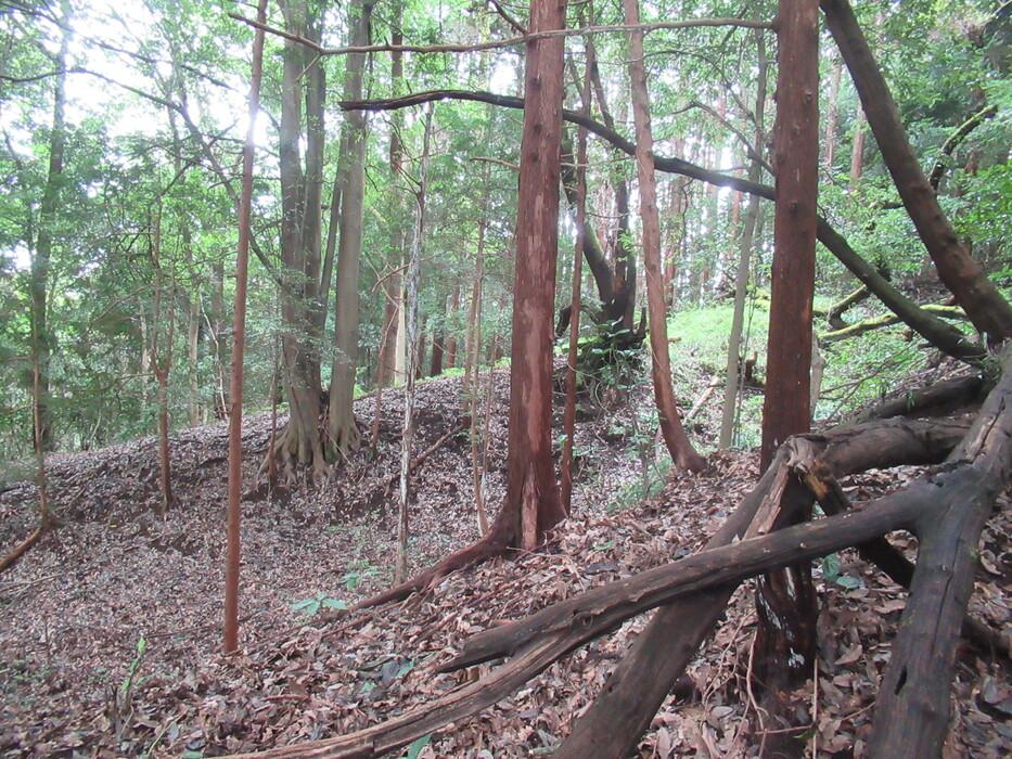 苅野丸山城