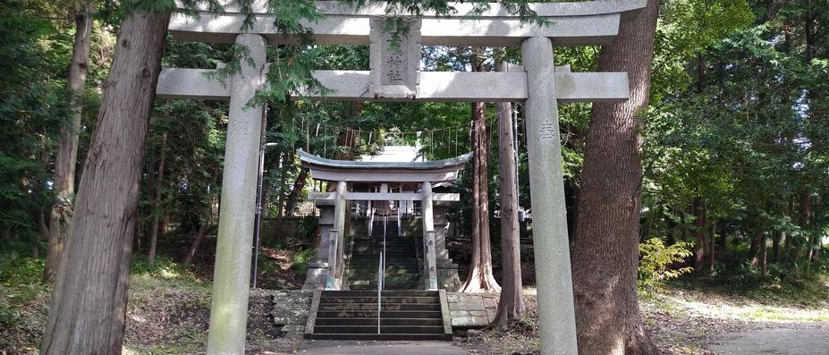 岡津城