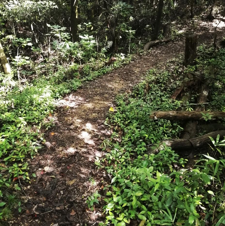 富山城