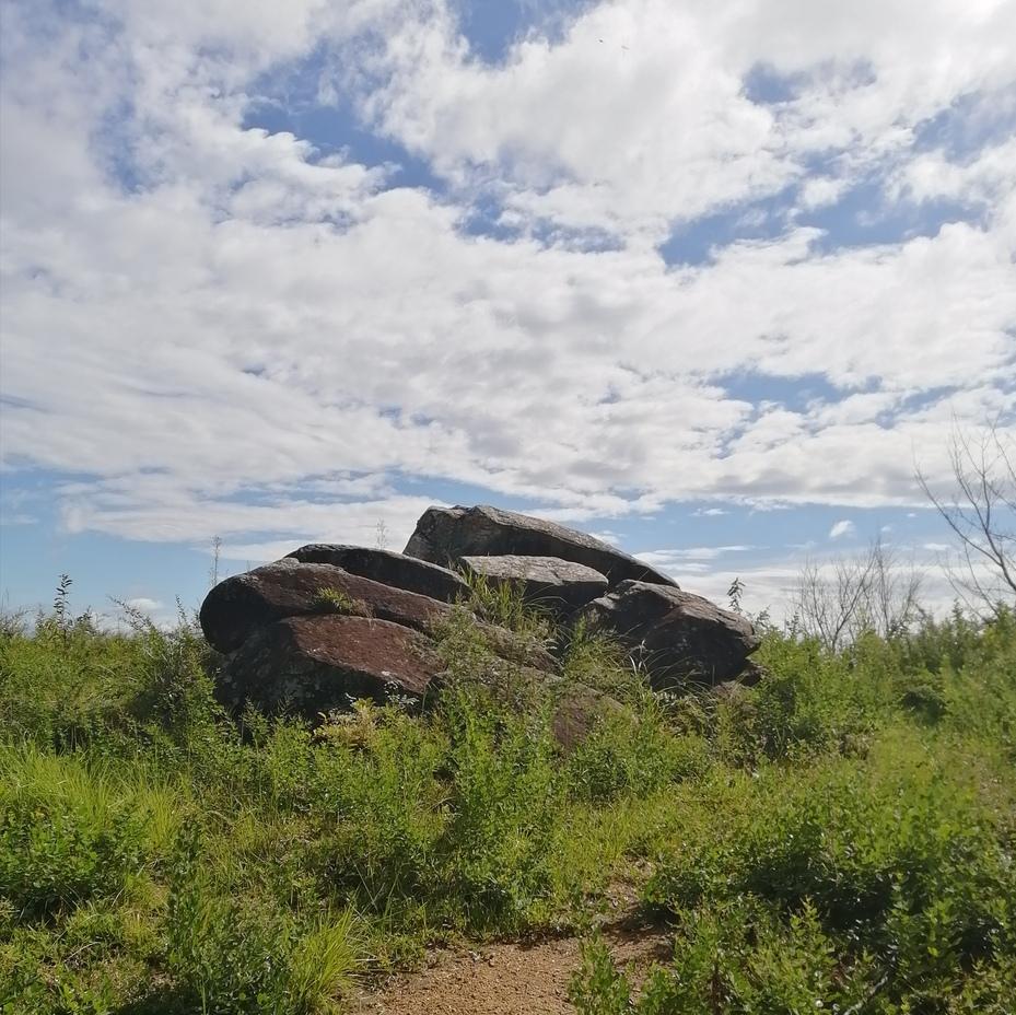 富山城