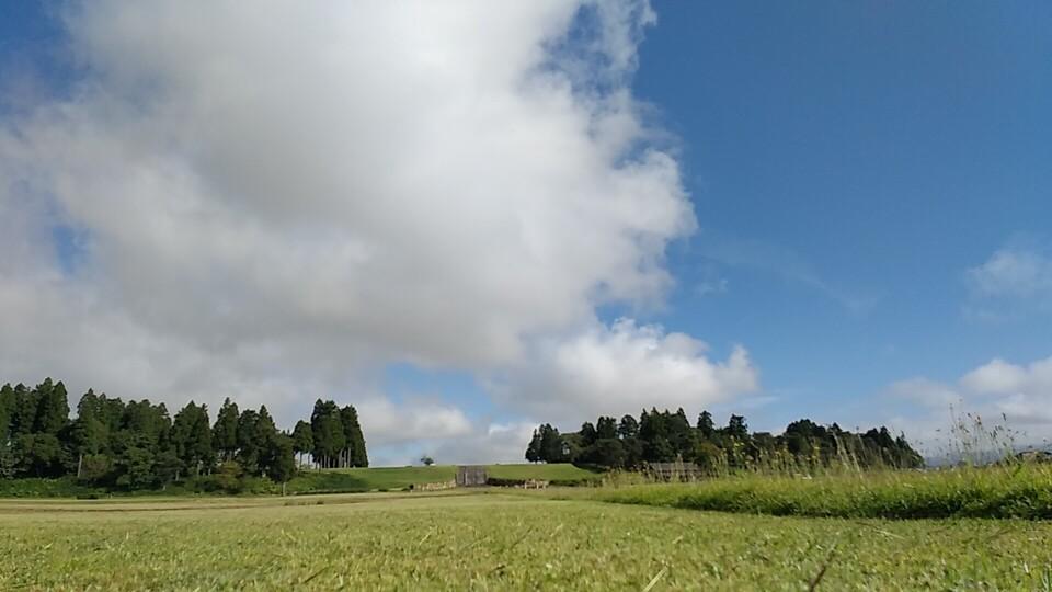 払田柵