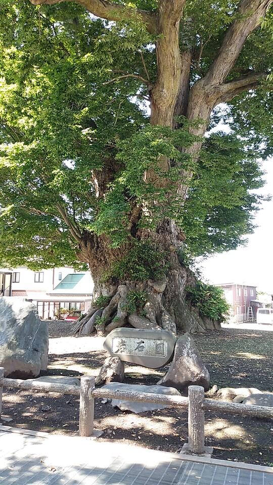 梁川城
