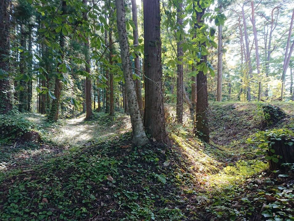 寺林城