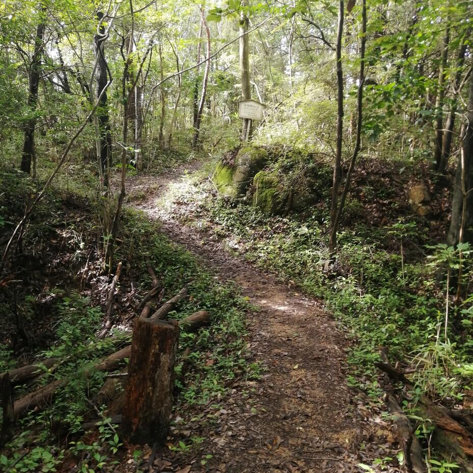 富山城