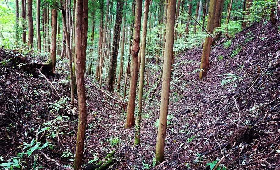 岩櫃城（群馬県吾妻郡）の詳細情報・口コミ | ニッポン城めぐり