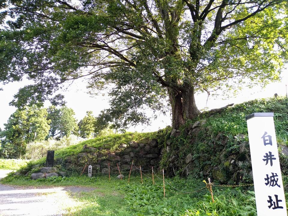 白井城