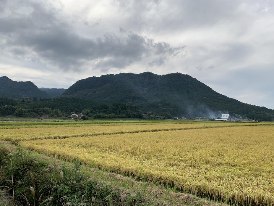 玖珠城