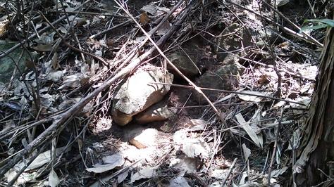 南朝方毛利氏城館