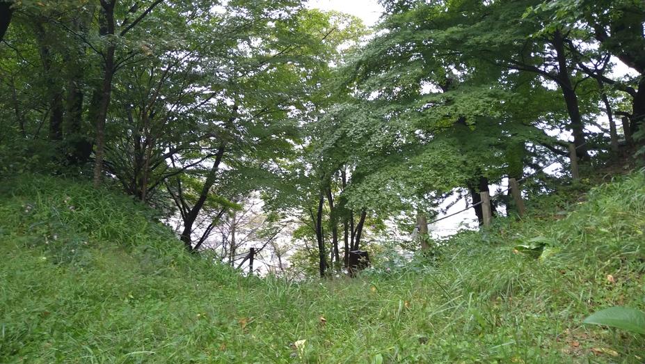 花岡城