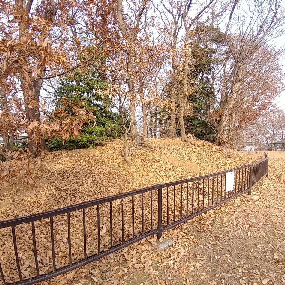 丸山城