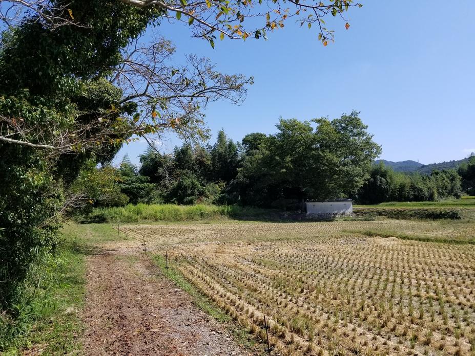 淡河城