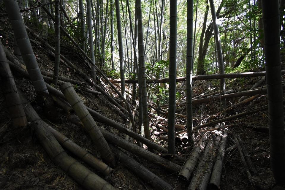 籠手田城