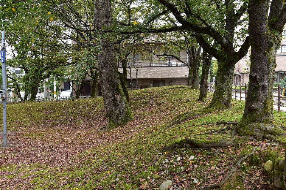 寺家新屋敷館