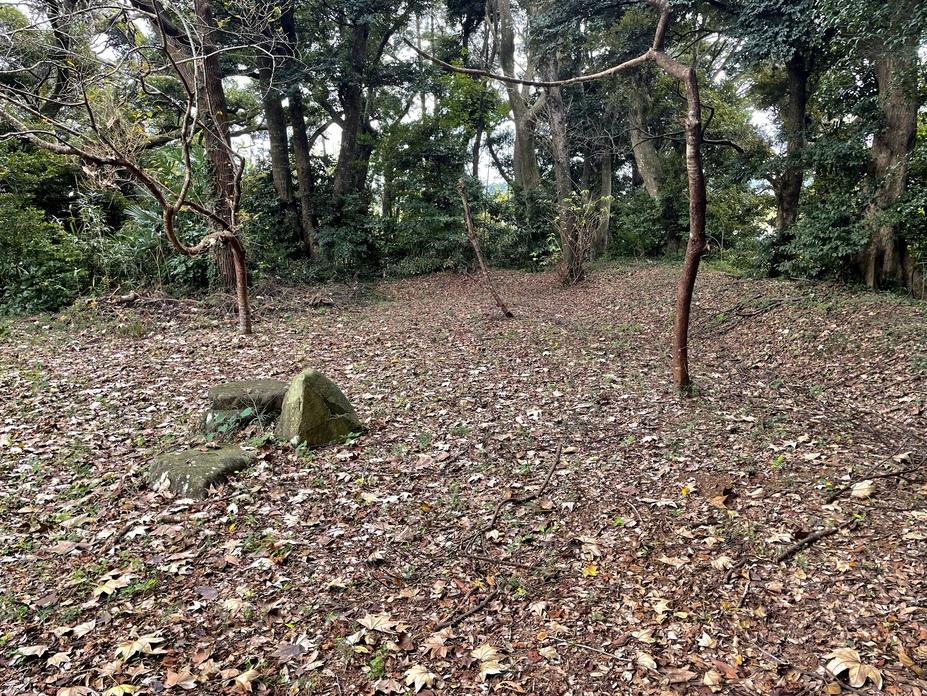 長沼城