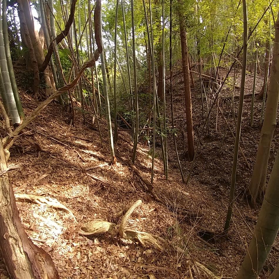 大庭城