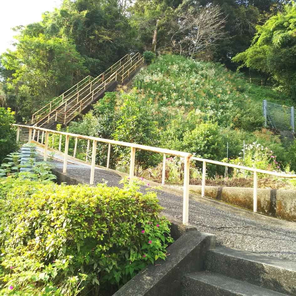 蓮池城