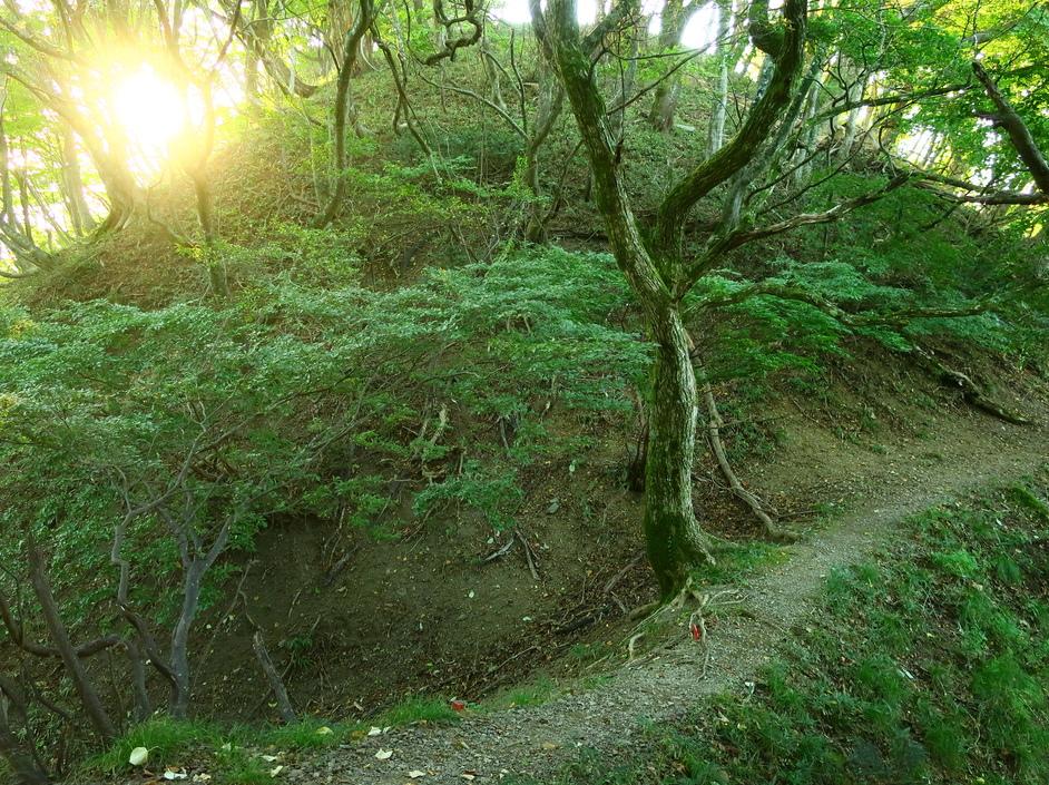 京極氏城館