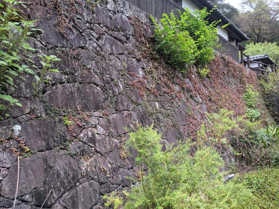 小川城