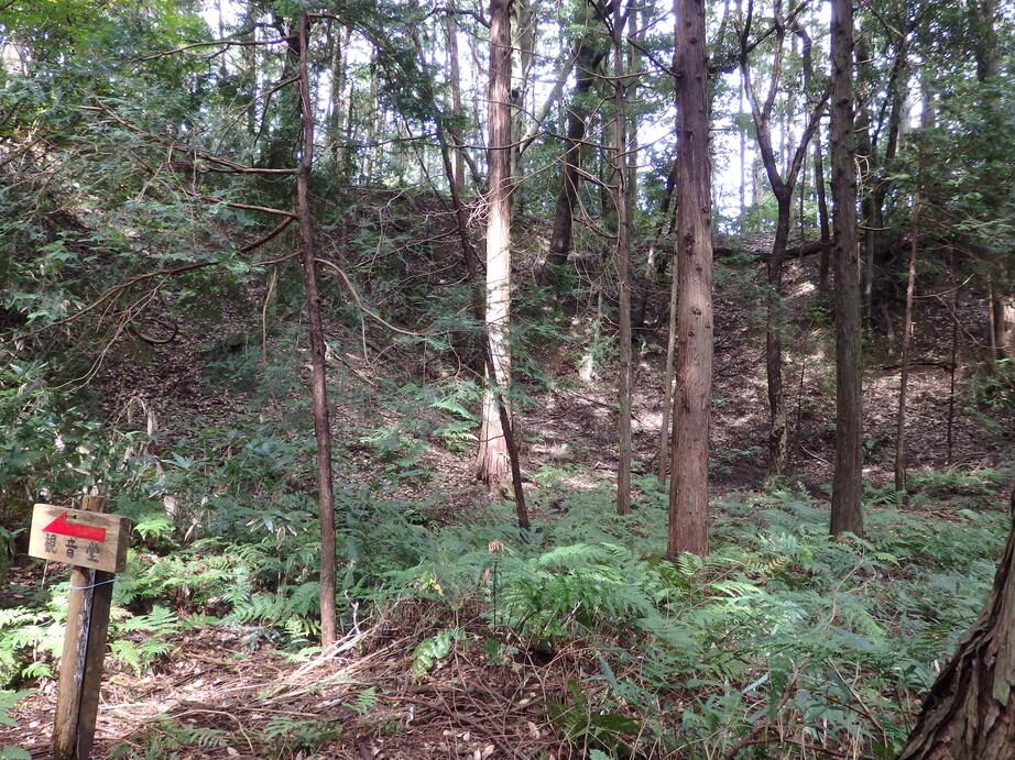 田中城