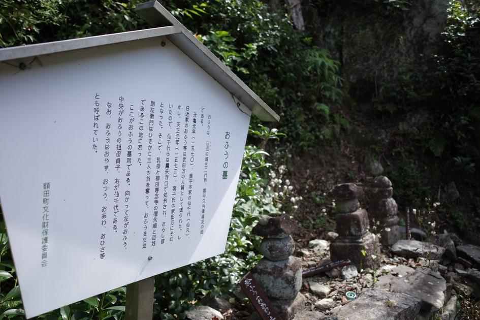 日近城